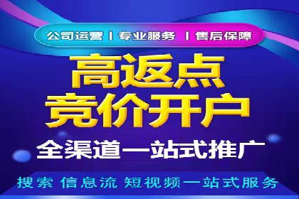 百度竞价：从入门到精通，快速实现盈利的案例集