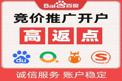百度推广中SEO优化的成功案例分析